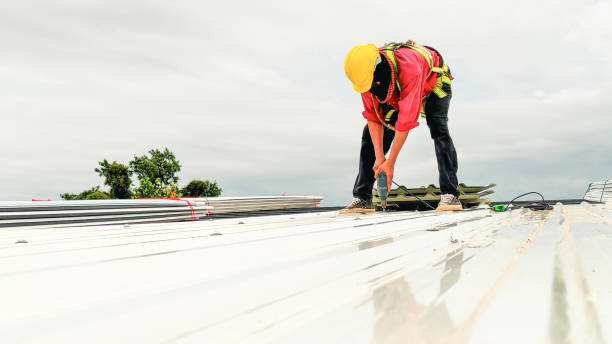 Roof Insulation in North Fork, AZ