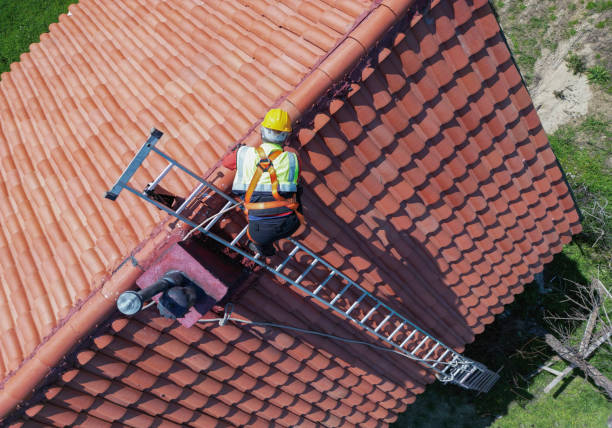 Best Steel Roofing  in North Fork, AZ